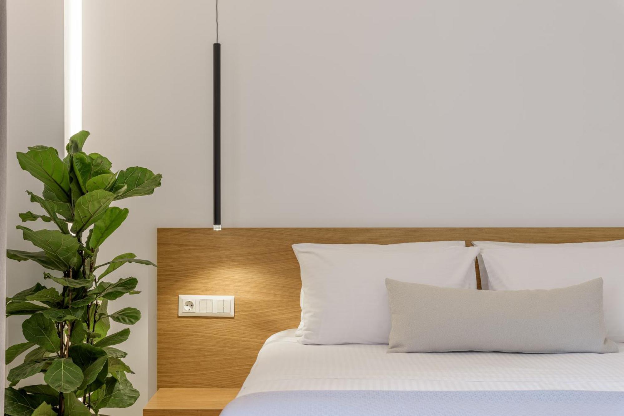 Central Sunny Loft With Plunge Pool Athens Exterior photo